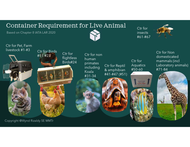 LA Container Based On LAR | PDF