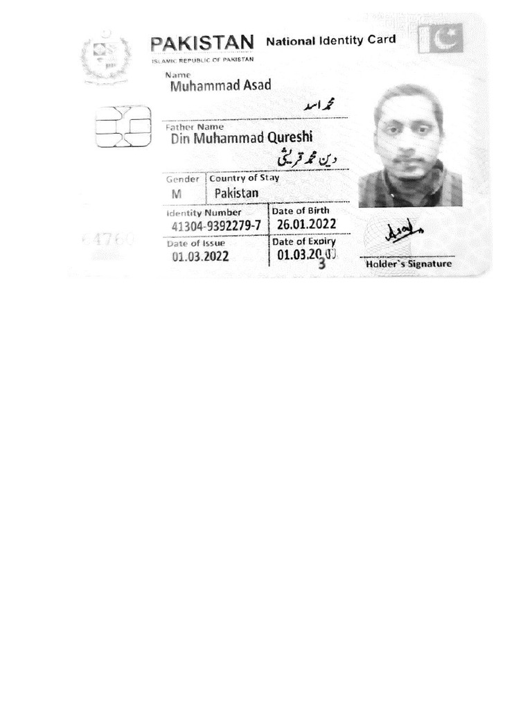 A6 Nic | PDF