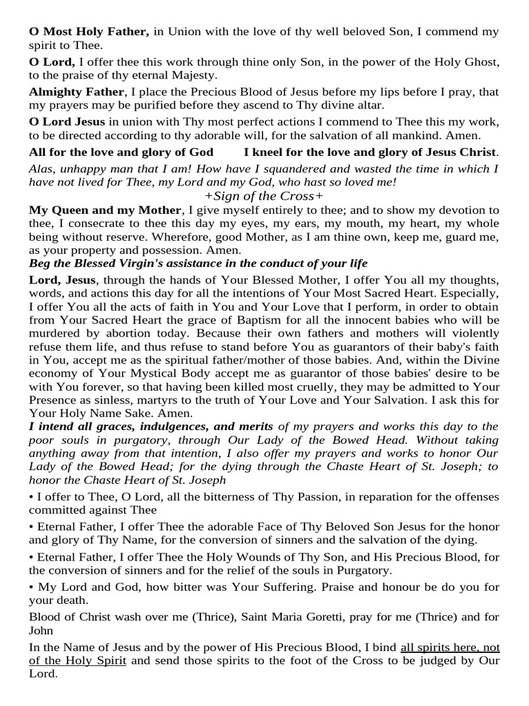 Daily Prayer for Salvation and Reparation | PDF | Mary, Mother Of Jesus ...