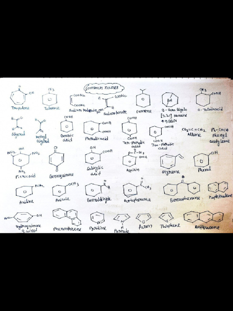 Common Names | PDF