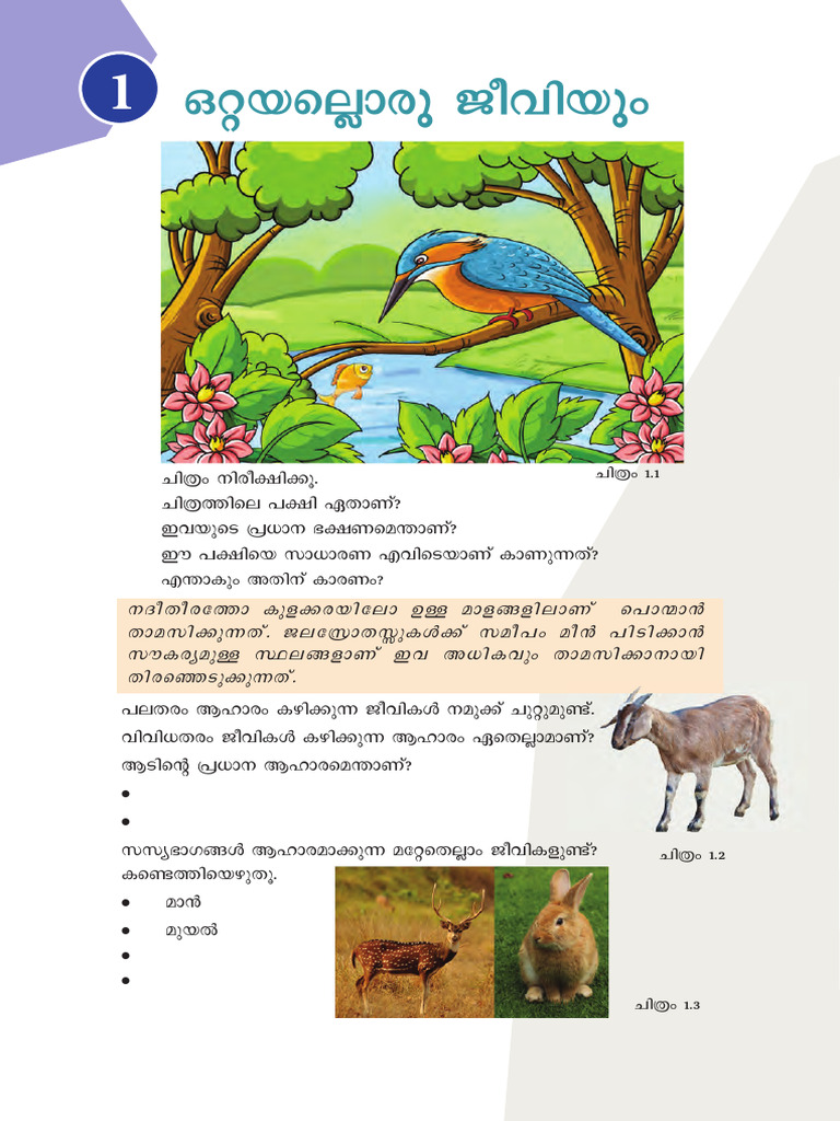 5th STD Basic Science Mal. Chapter 1 | PDF