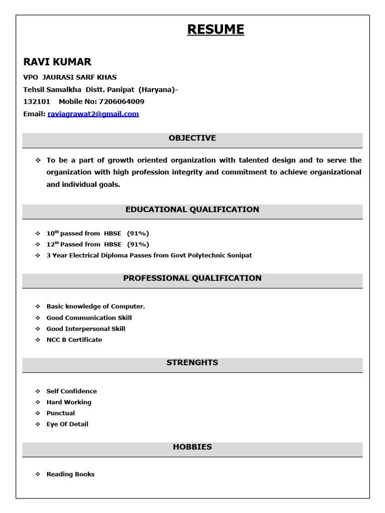 Ravi Kumar's Professional Resume | PDF