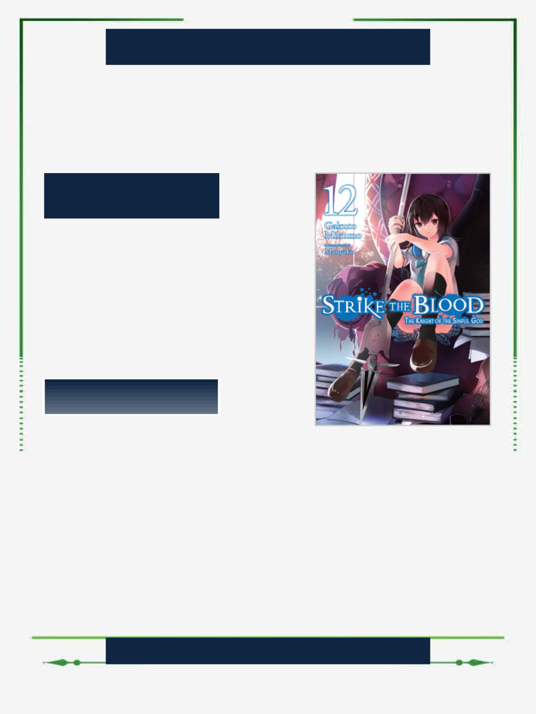 Strike The Blood Vol 12 light Novel Gakuto Mikumo eBook