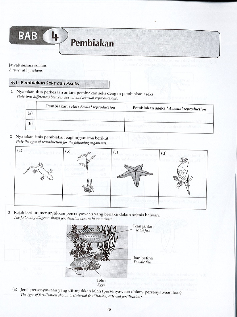 Sns Form 1 (Bab 4) Praktis Eco (DLP) - 16-25 | PDF