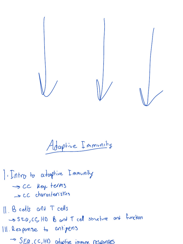Understanding Adaptive Immunity Basics | PDF | T Cell | Antibody