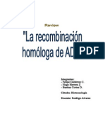 resumen recombinacion homologa