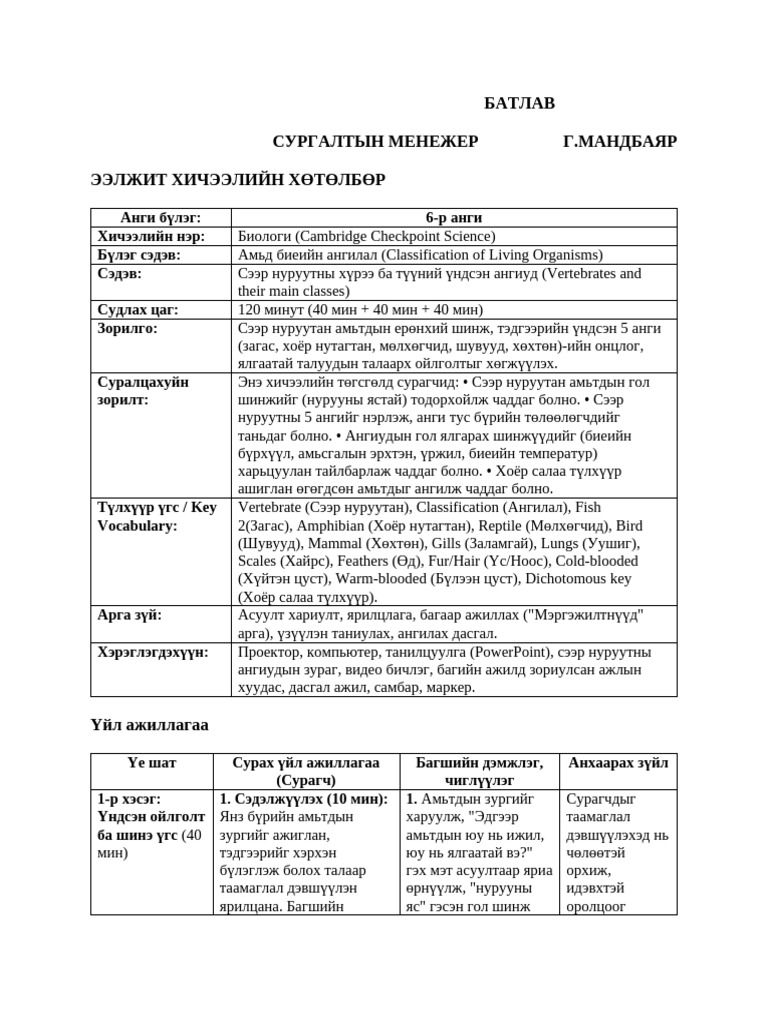 6р Анги Checkpoint Vertebrae | PDF