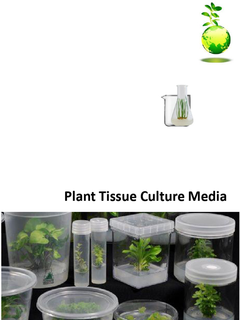 Plant Tissue Culture Media Guide | PDF