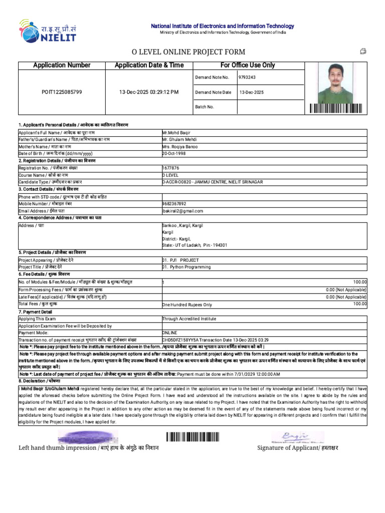 NIELIT O Level Project Application Form | PDF