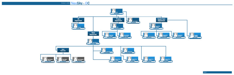 Org Chart | PDF