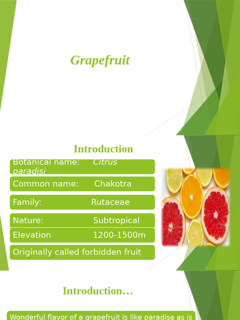 grape.f | PDF | Grapefruit