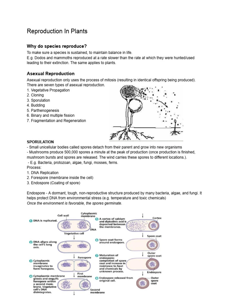 Plant Reproduction Methods Explained | PDF | Flowers | Pollination