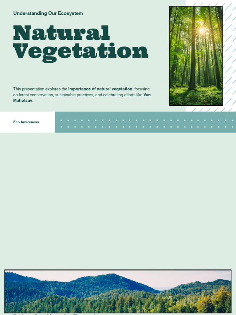 Importance of Forest Conservation | PDF | Forests | Forest Management