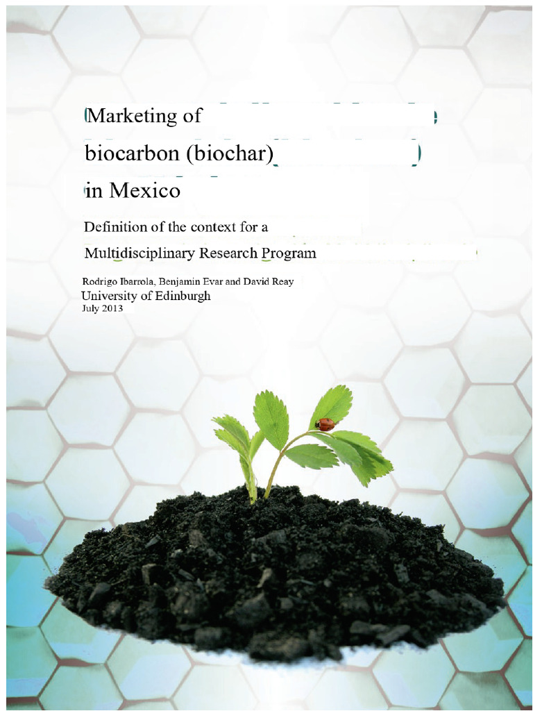 Biochar Commercialization in Mexico Guide | PDF | Climate Change ...