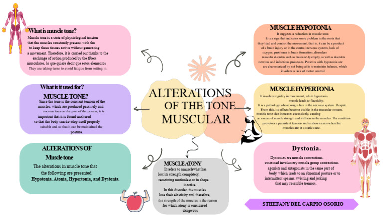 Understanding Muscle Tone Disorders | PDF | Skeletal Muscle | Dystonia