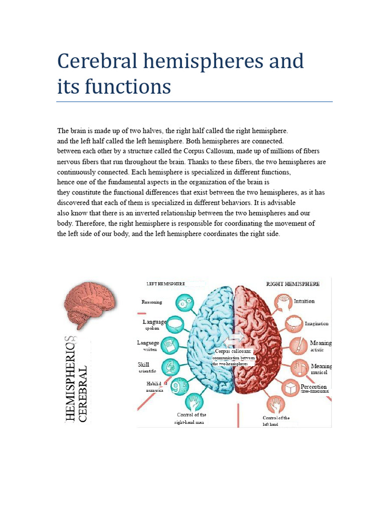 Functions of Brain Hemispheres Explained | PDF | Lateralization Of ...