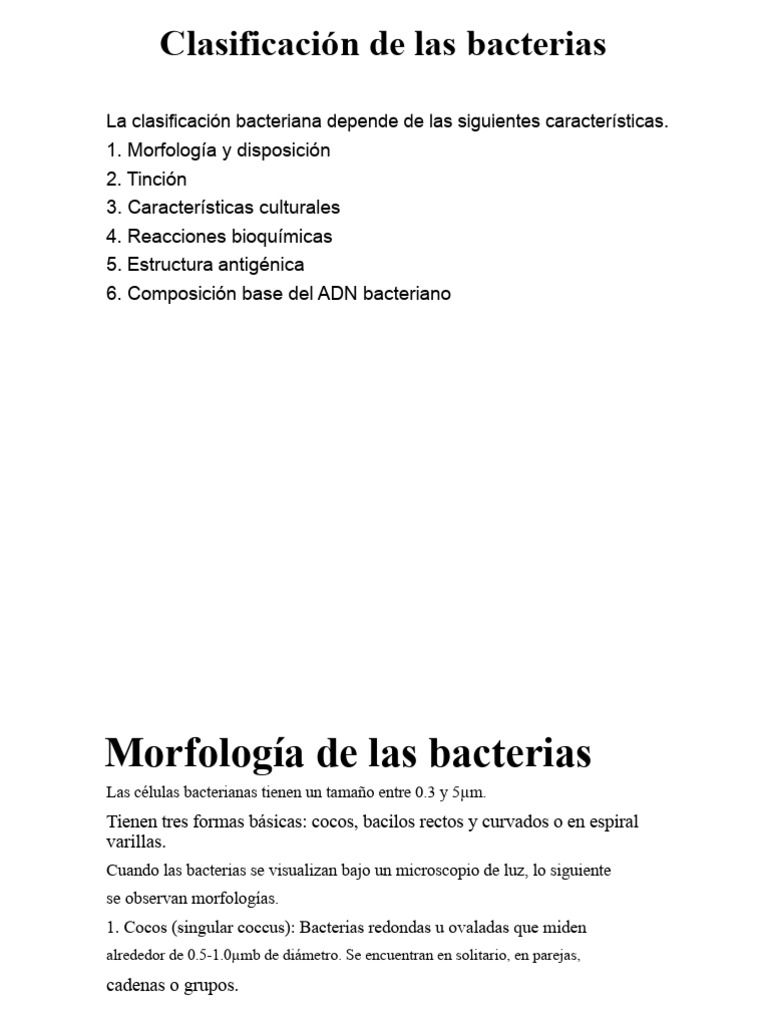 Clasificación y Tinción de Bacterias | PDF | Tinción | Las bacterias