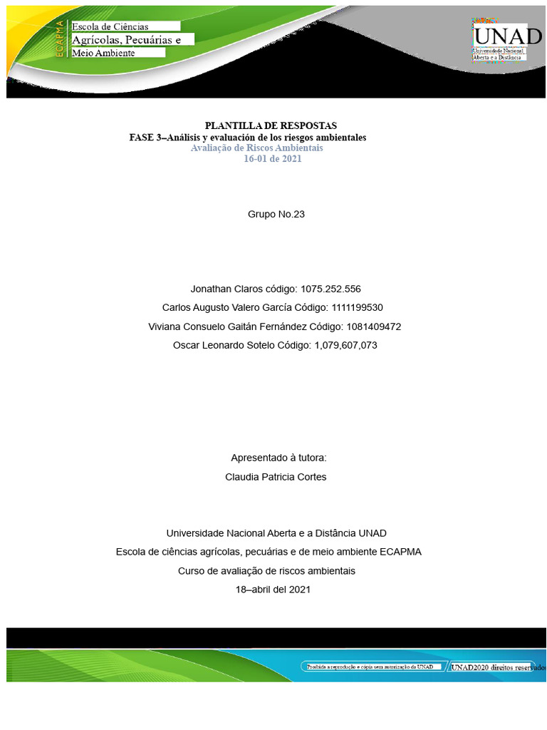 Análise de Riscos Ambientais Detalhada | PDF | Toxicidade | Ambiente ...