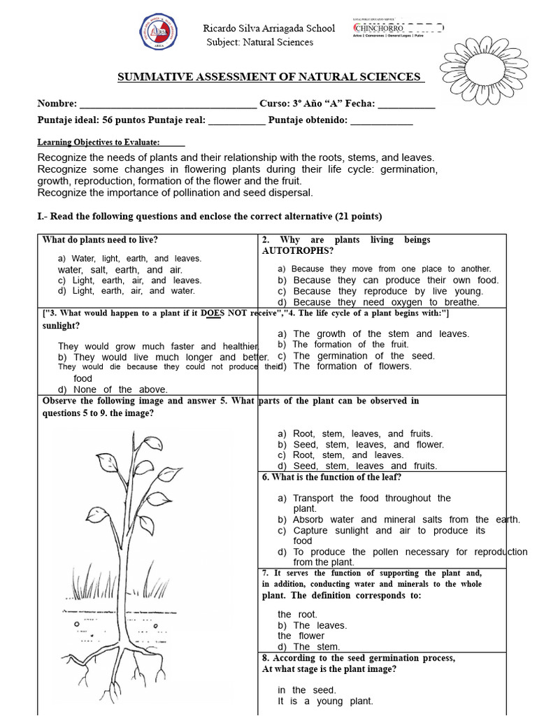 Natural Sciences Assessment for 3rd Grade | PDF | Flowers | Seed