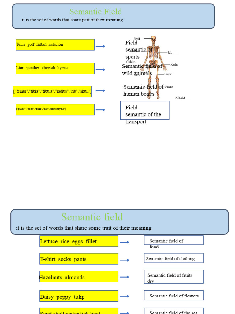 Understanding Semantic Fields in Language | PDF