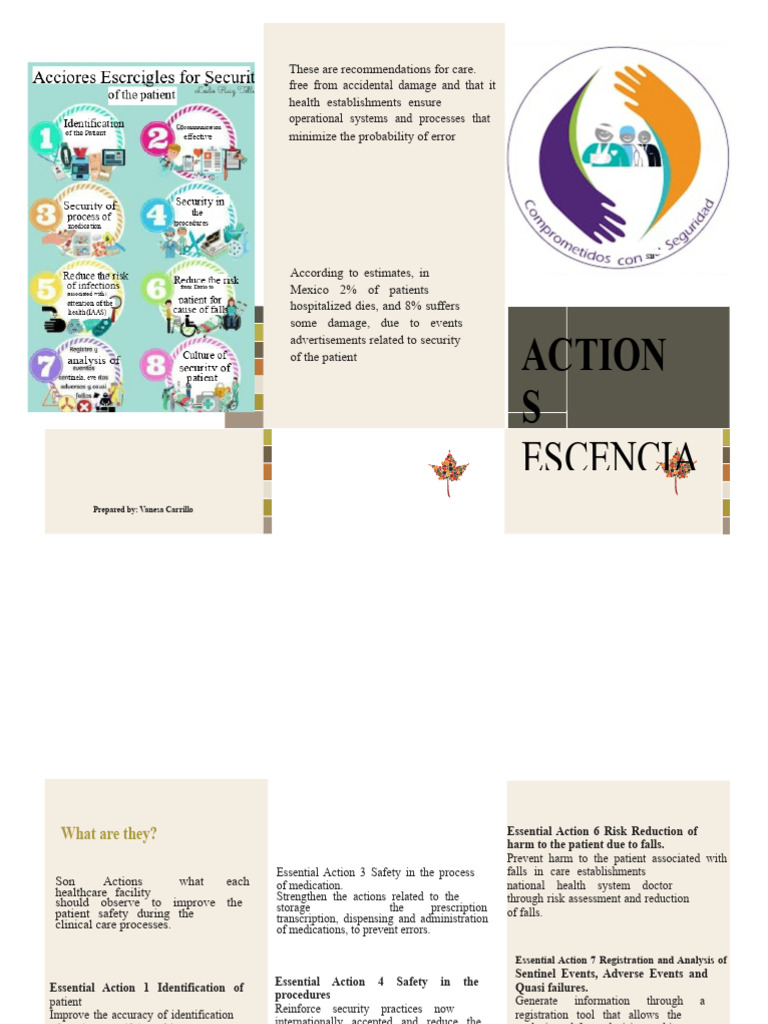 Patient Safety Recommendations Guide | PDF | Patient Safety | Patient