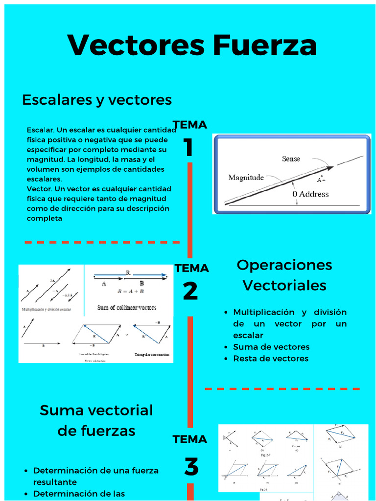 Infographic Force Vectors | PDF