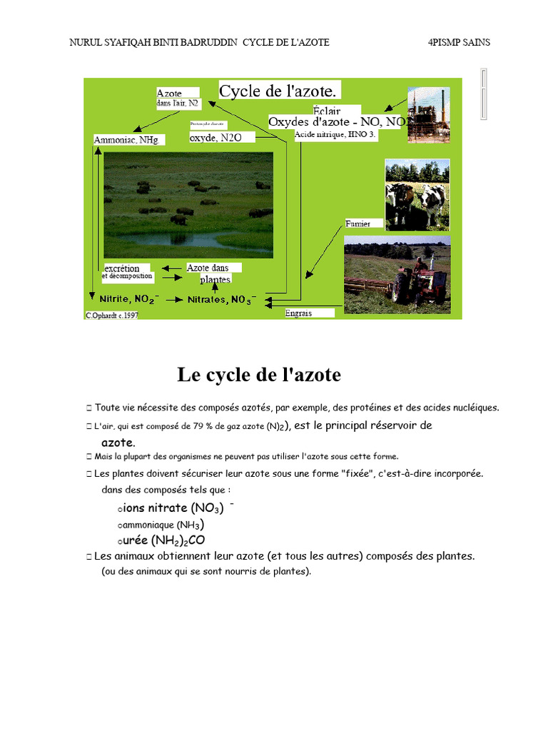 Comprendre le cycle de l'azote PDF Nitrate Ammoniac — free download