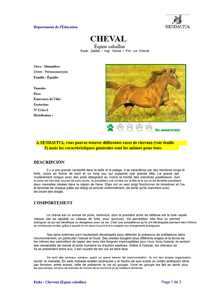 Caractéristiques et Comportement des Chevaux | PDF | Chevaux | Équidés