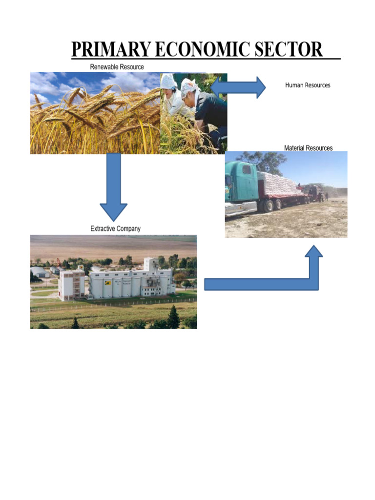 Overview of Economic Sectors and Resources | PDF