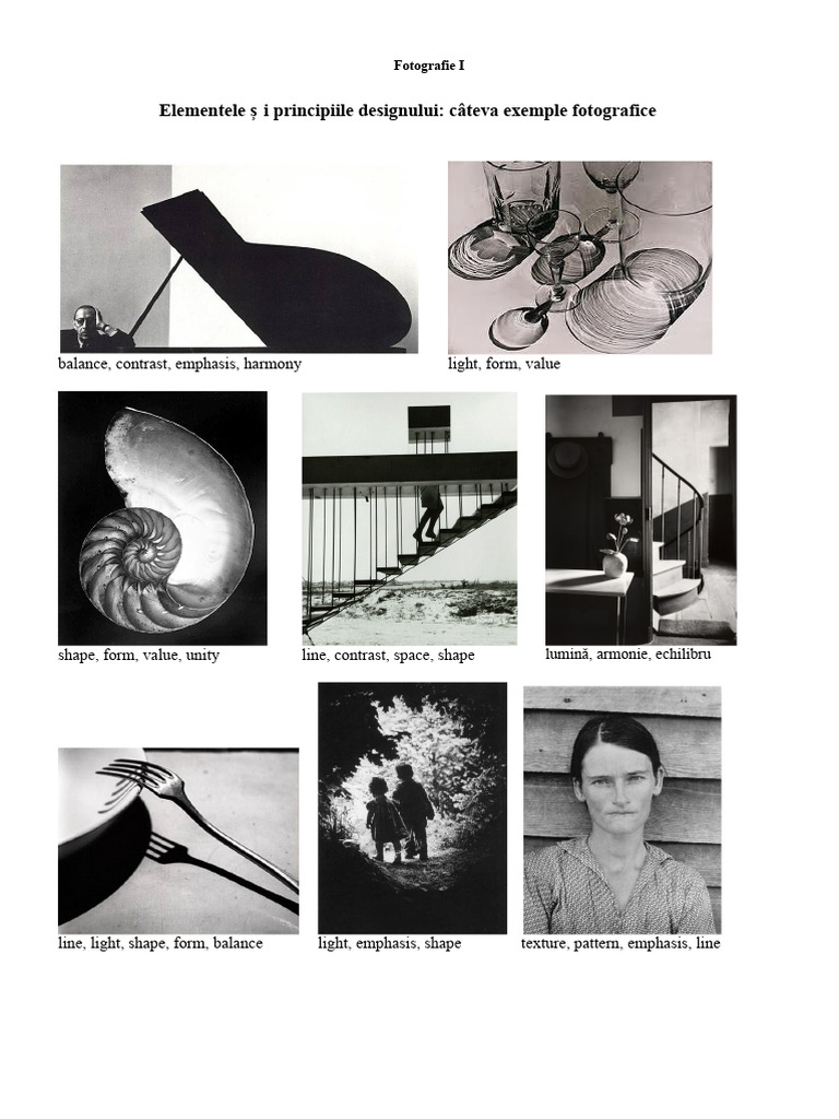 Design Principles in Photography | PDF