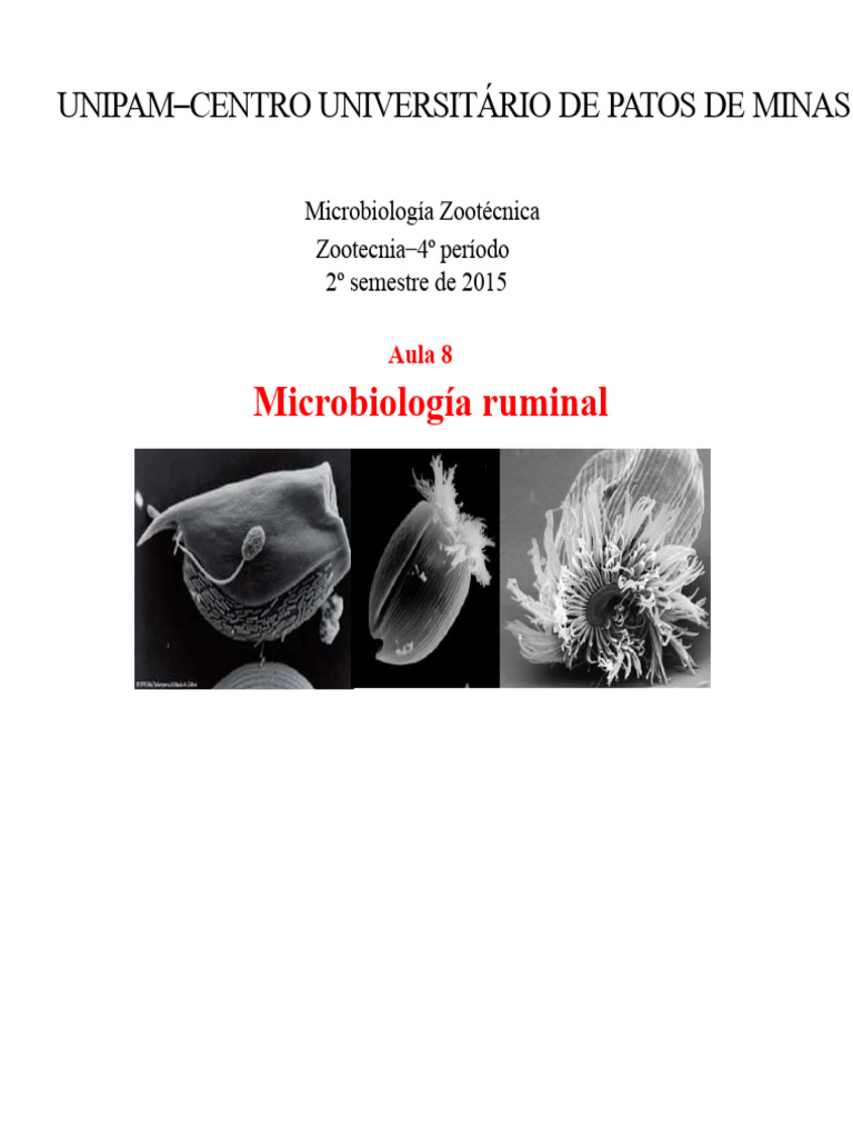 Microbiología del Rumen en Rumiantes | PDF | Rumiante | Las bacterias