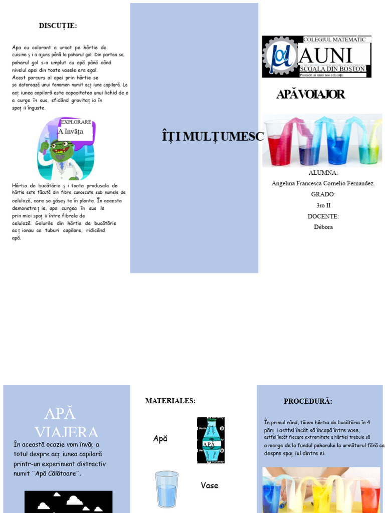 Șablon de Triptic În Word | PDF