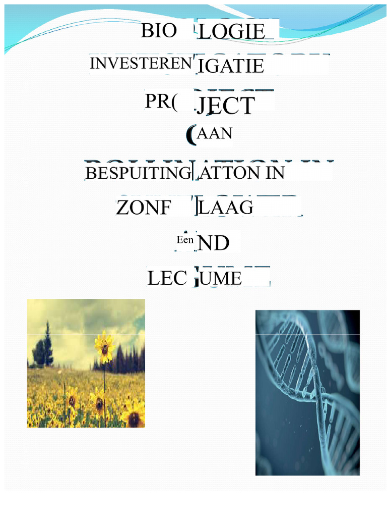 Forest Mountain Green behang | Happywall, image size:768x1024