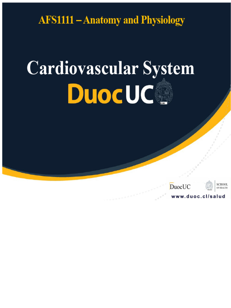 Cardiovascular System Overview Guide | PDF | Heart Valve | Heart