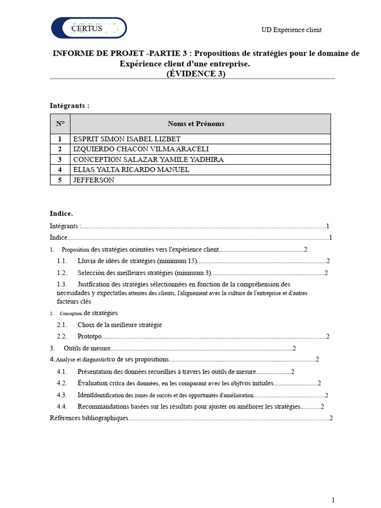 Stratégies pour Optimiser l'Expérience Client | PDF | Commercialisation ...