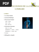 Análisis del Ángulo Lumbosacro y Ferguson | PDF | La columna vertebral ...