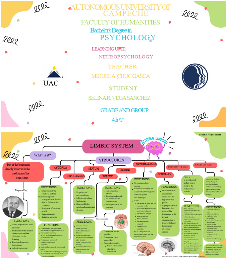 Conceptual Map - Limbic System | PDF | Limbic System | Emotions