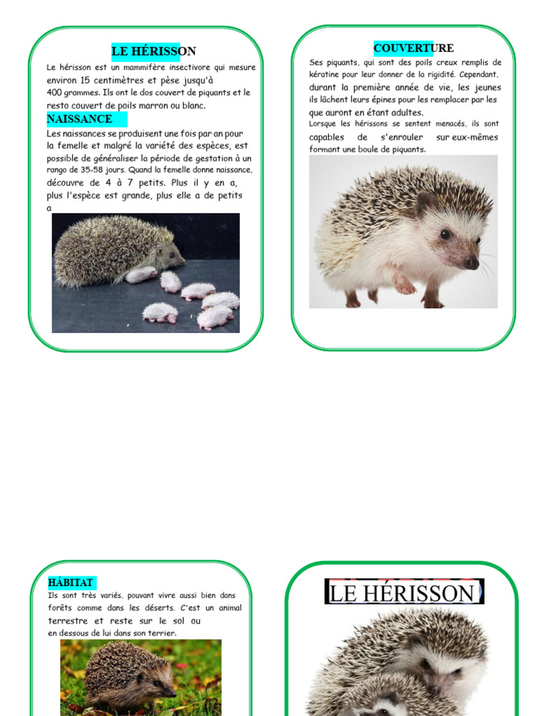 Le Hérisson : Habitat, Naissance et Alimentation | PDF
