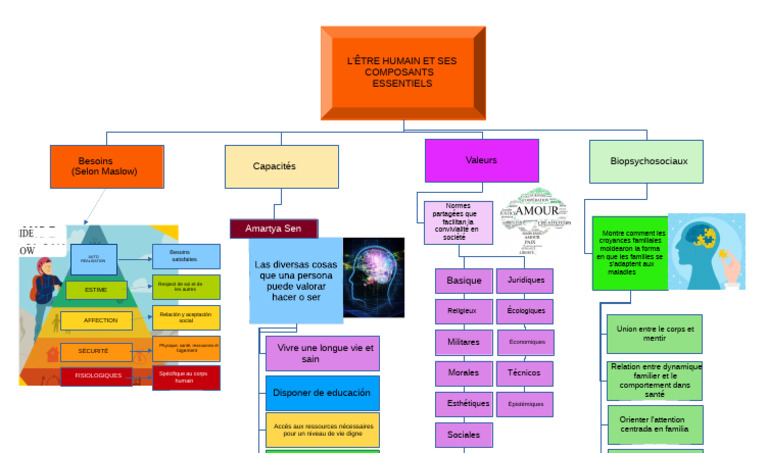 Composants essentiels de l'être humain | PDF