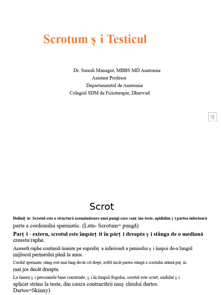 Scrot Și Testicul | PDF