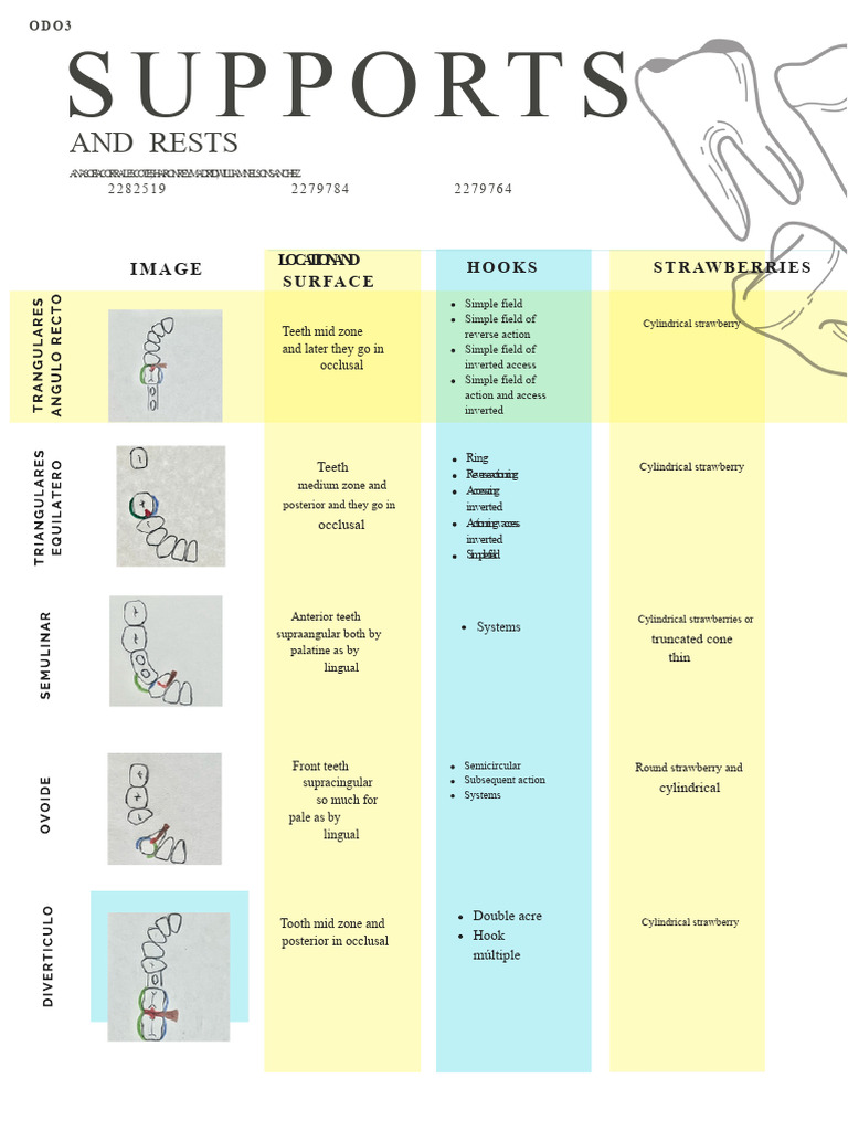 SUPPORTS AND RESTS | PDF | Tooth | Dentistry