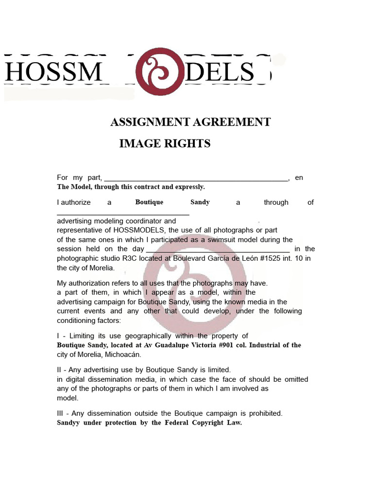 Model Image Rights Assignment Agreement | PDF