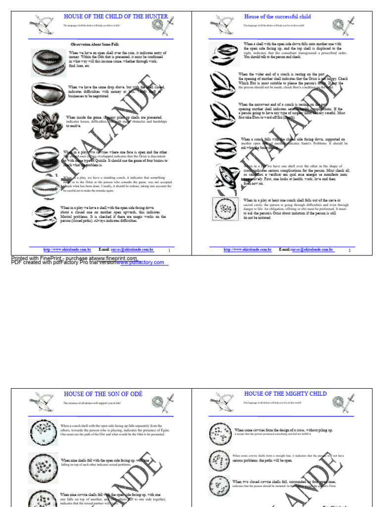 Shell Interpretations in Divination | PDF