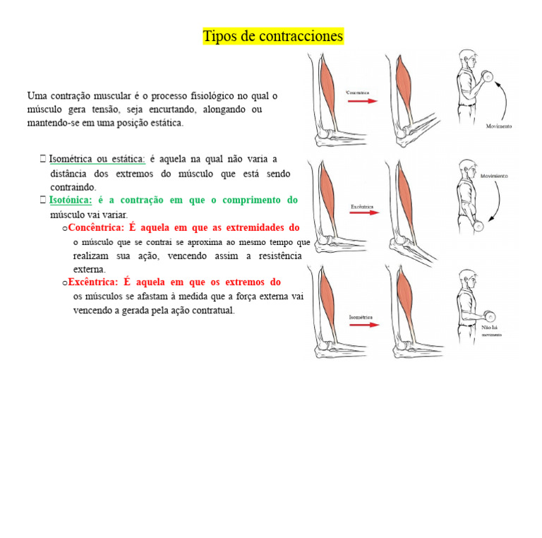 Tipos de Contrações Musculares | PDF