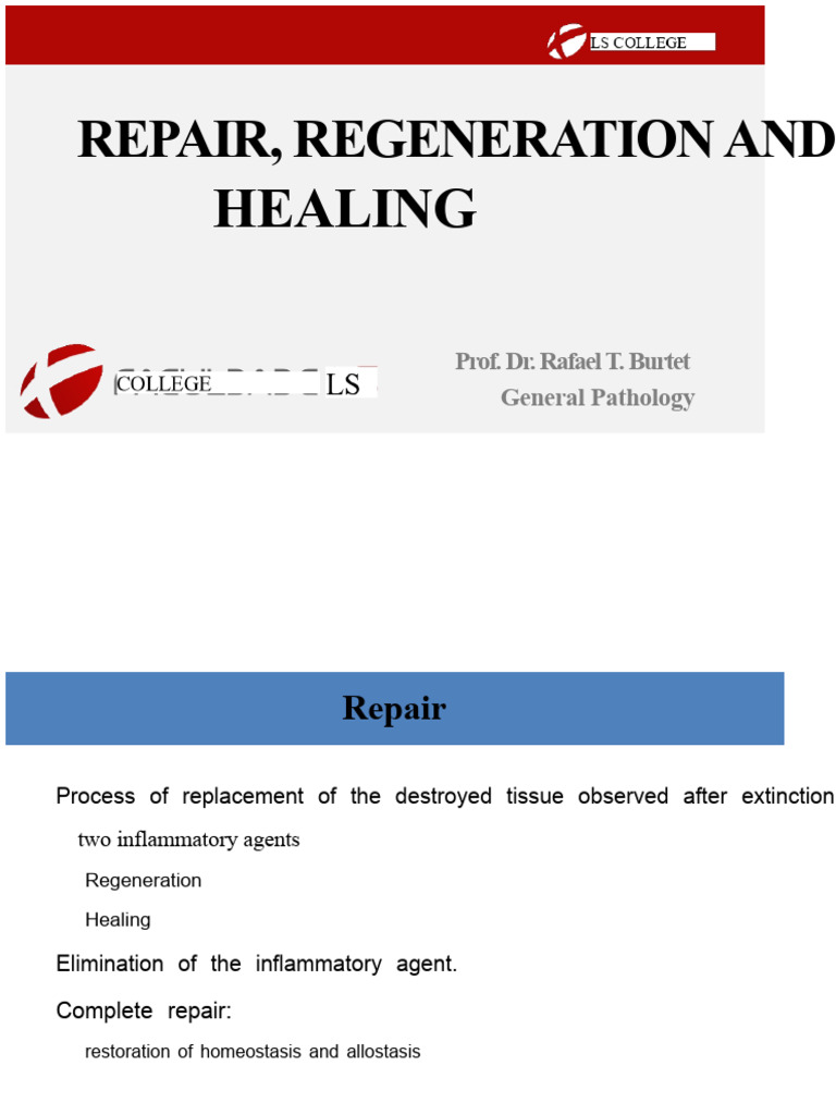 Tissue Repair and Regeneration Processes | PDF | Healing | Wound Healing