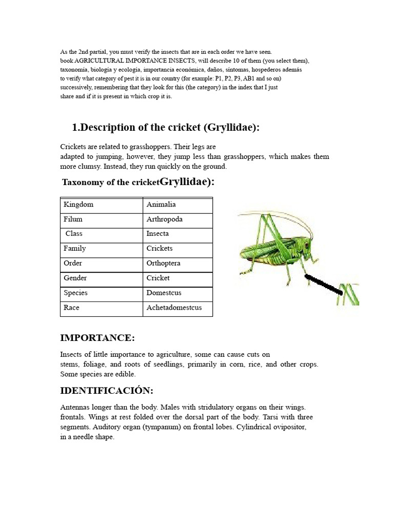 Agricultural Insect Pest Identification Guide | PDF | Insects | Ant