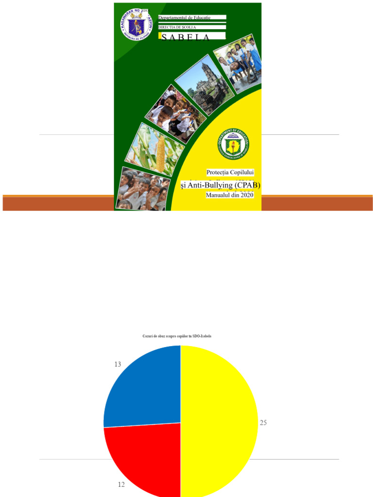 Manual CPAB 2020 | PDF