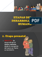 Etapas Del Desarrollo Humano