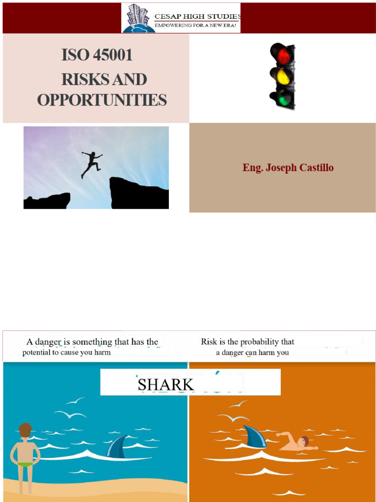 ISO 45001 Risks and Opportunities Guide | PDF | Risk | Occupational ...