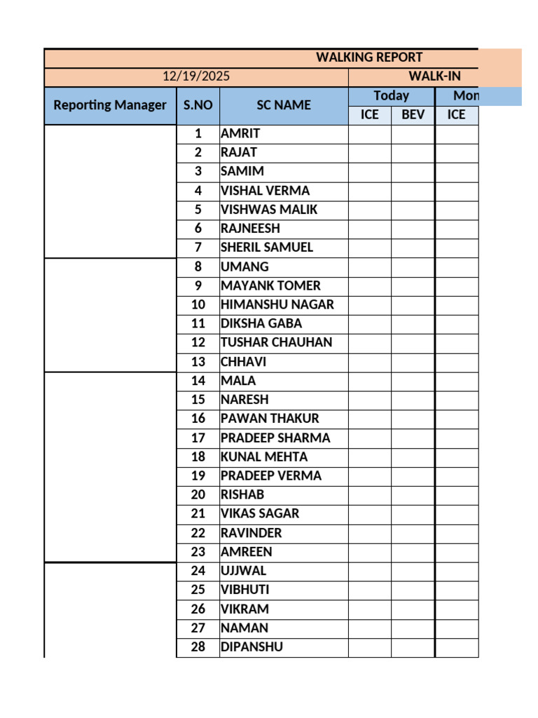 Daily Walk-In Report Summary | PDF